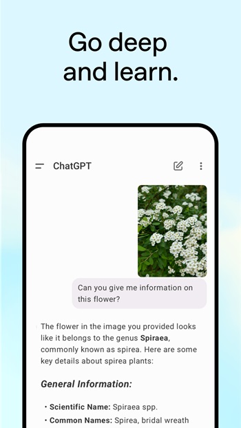 ChatGPT APK Download for Android