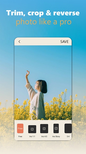 Dazz Cam Android APK Download