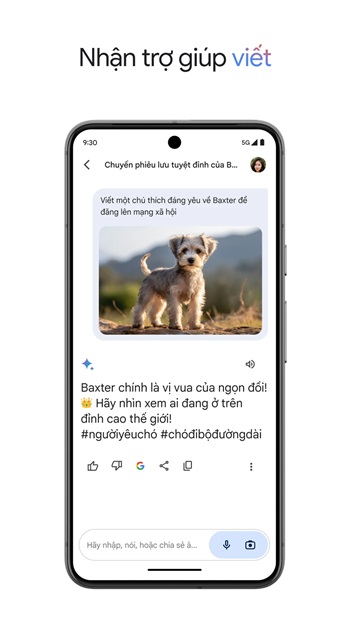 Google Gemini apk Latest for Android