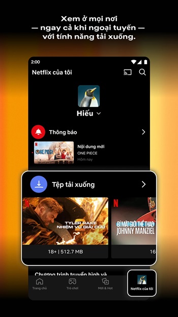Netflix APK Free for Android