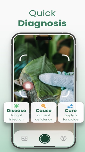Plantify APK Available on Android