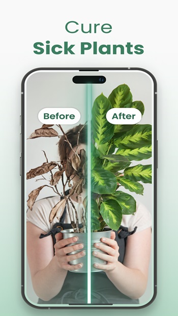 Plantify APK Run on Android