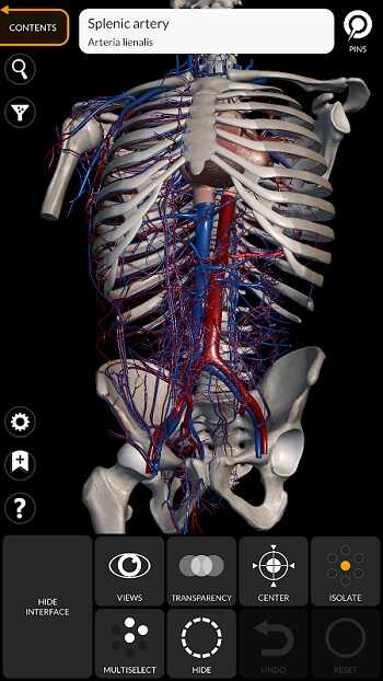 Anatomy Learning APK Free Download