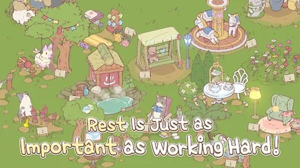 Play The Cats & Soup APK On Android