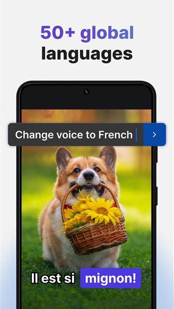 Invideo AI APK Download Free 